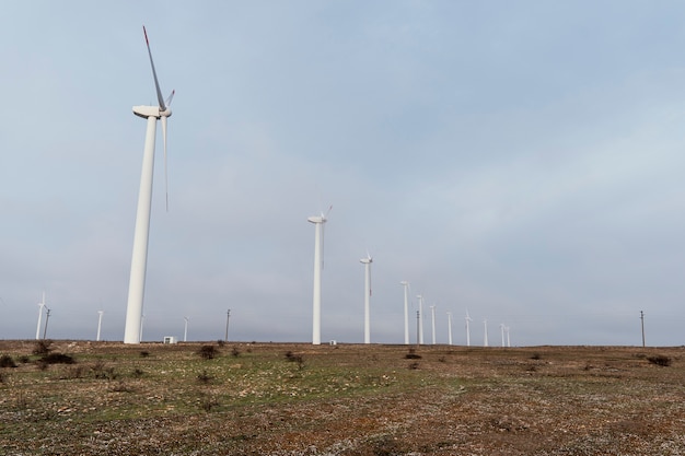 Free Photo many wind turbines in the field generating energy