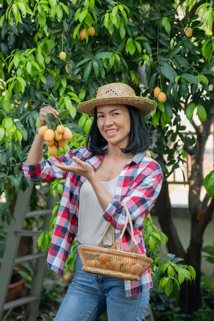 Free photo marian plum,marian mango or plango (mayongchit in thai) the harvest season lasts from february to march. hand of woman agriculturist holding a bunch of s weet yellow marian plum.