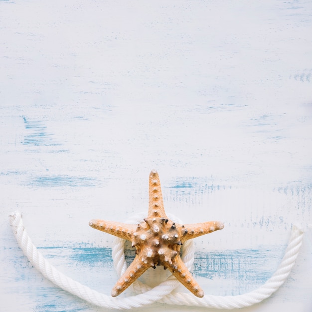 Marine composition with starfish and copyspace