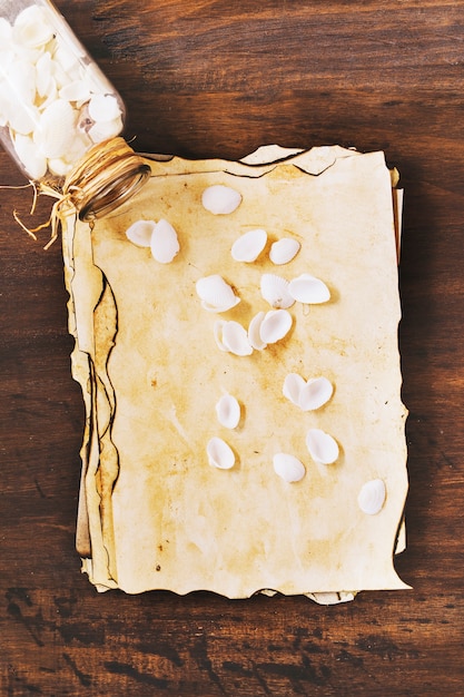 Free photo marine composition with vintage paper and shells