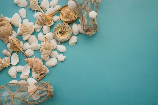 Free photo marine elements and seashells