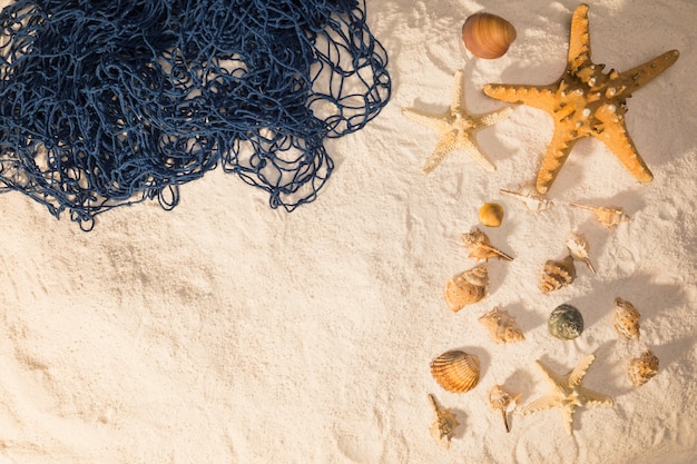 Free photo marine shells and net on sand