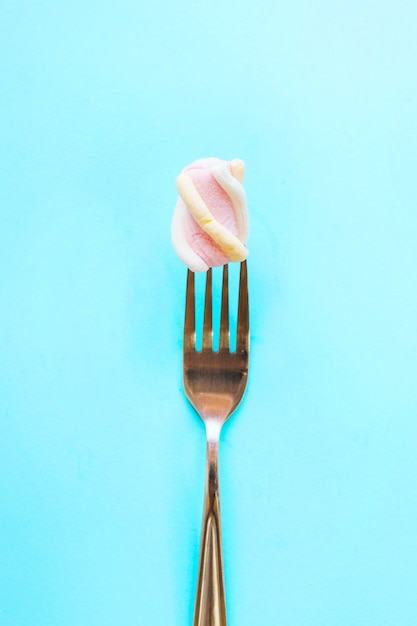 Marshmallow on fork