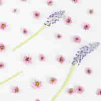 Free photo mascara and pink flower pattern on white backdrop