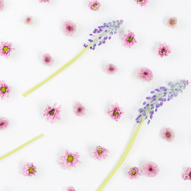 Free Photo mascara and pink flower pattern on white backdrop