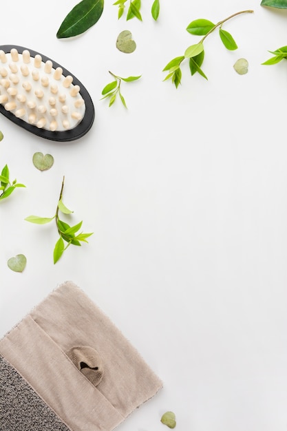 Free photo massage brush; leaves; and loofah on white background