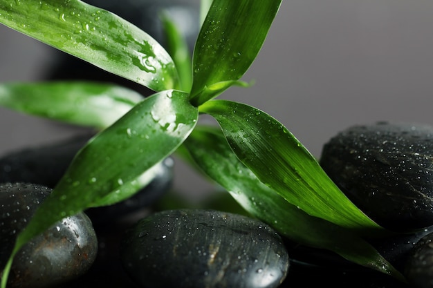 Massage stones and bamboo leaves