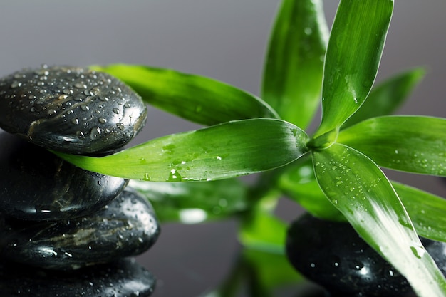 Massage stones and bamboo leaves