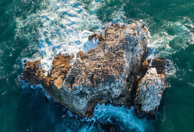 Free photo matanzas beach surf and windsurf sport chile drone cenital view seagulls