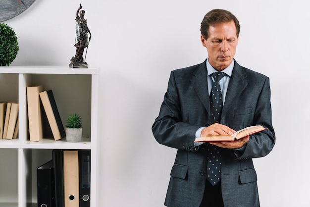 Mature lawyer reading law book in the office