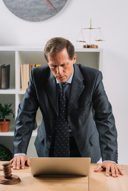 Free photo mature male lawyer looking at laptop on desk