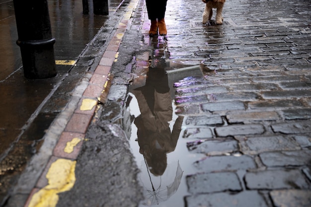 Free photo mature woman walking her dog in the city streets while it rains