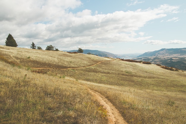 Free Photo meadow with clear blue sky