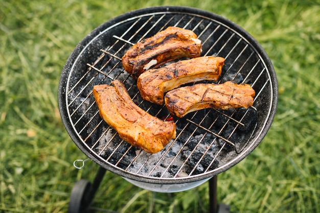 Meat on barbecue grill in nature