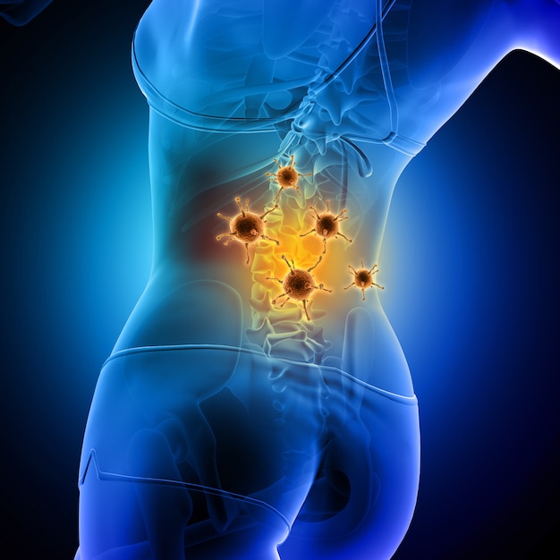 Free Photo medical background of a female figure with spine highlighted and virus cells