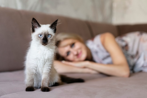 Free Photo medium shot blurry woman and cute cat