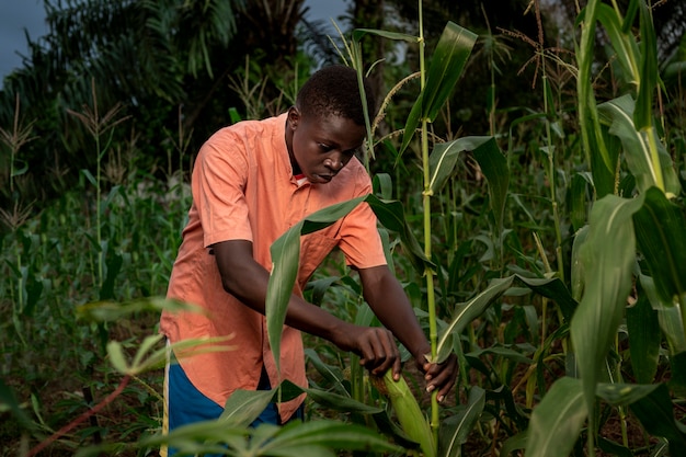 Medium shot boy working in cornfield