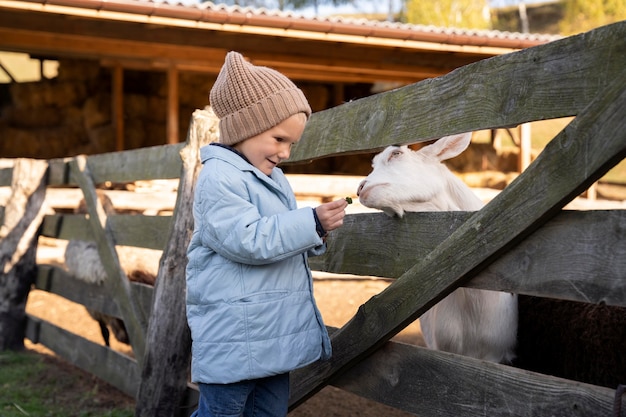 Free Photo medium shot child feeding goat