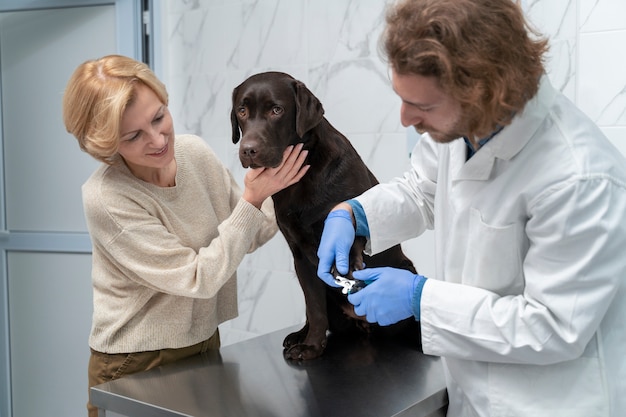 Free photo medium shot doctor checking cute dog