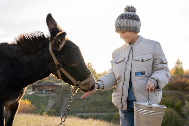 Medium shot kid feeding donkey