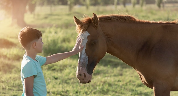 Medium shot kid petting horse