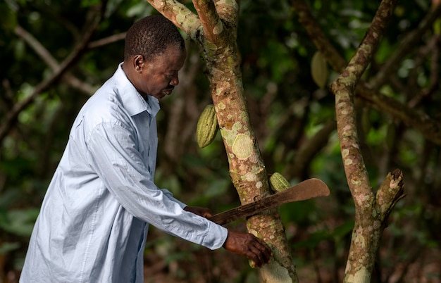 Medium shot man cutting tree