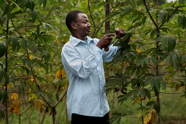 Medium shot man taking care of leaves