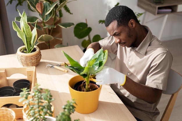 Medium shot man taking care of plant