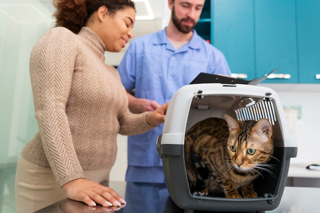 Medium shot people at vet clinic