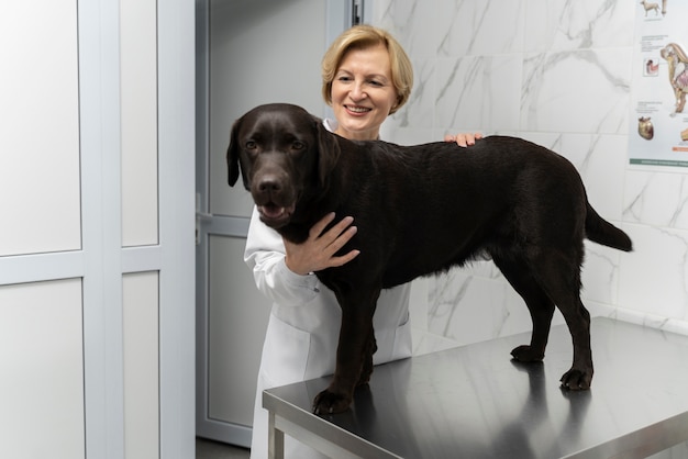 Medium shot smiley woman holding dog