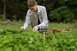 Free photo medium shot woman checking plants