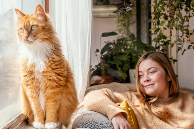 Free Photo medium shot woman looking at cat