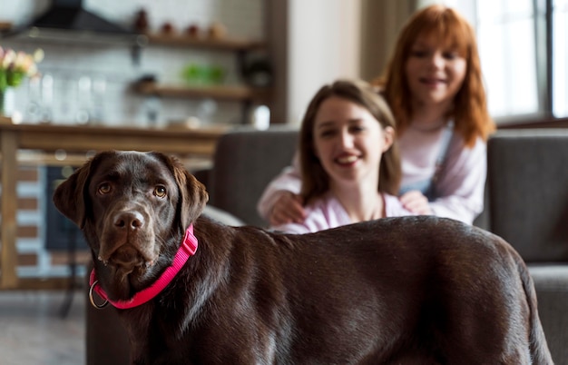 Medium shot women and cute dog