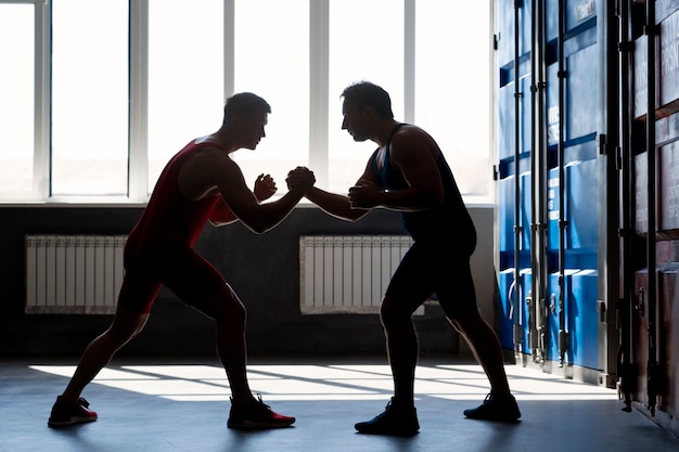 Free photo men demonstrating wrestling combat moves