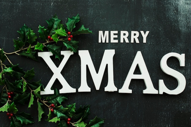 Merry Xmas inscription with holly branches