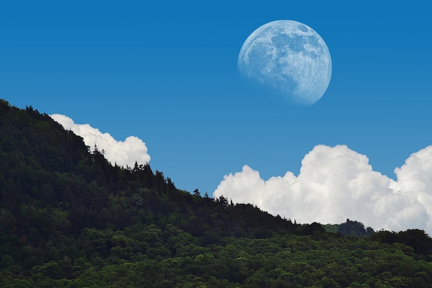 Free photo mesmerizing landscape shot of the moon vibrant on broad day light