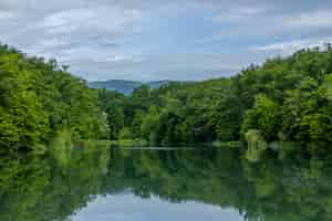 Free photo mesmerizing scene of beautiful nature of zagreb reflected on the water