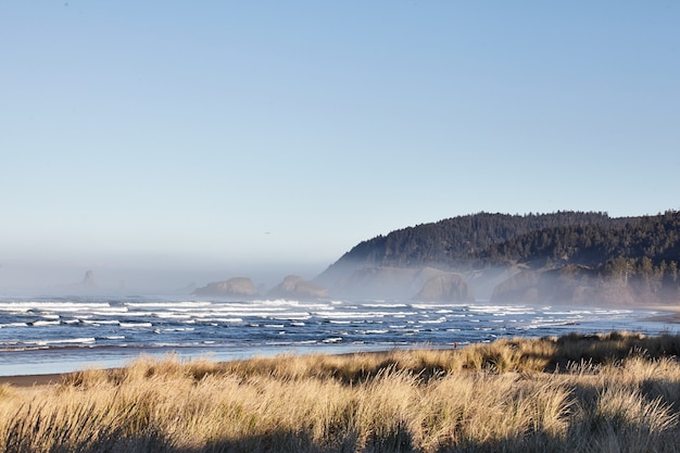 Free photo mesmerizing scenery of ocean waves at cannon beach,  oregon, usa