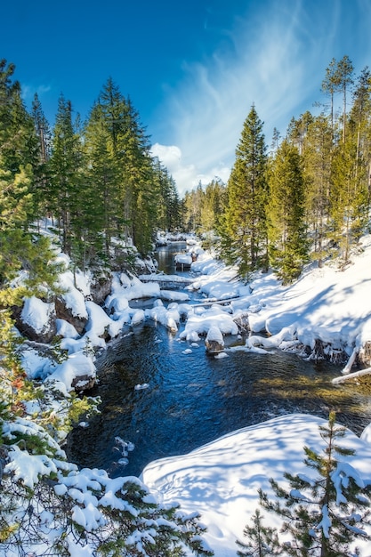 Free Photo mesmerizing shot of a beautiful snowy rocky park around the lake with a background of a mountain