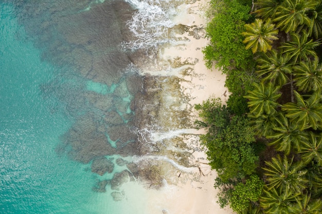 Free Photo mesmerizing view of the beach with white sand and turquoise clear water in indonesia