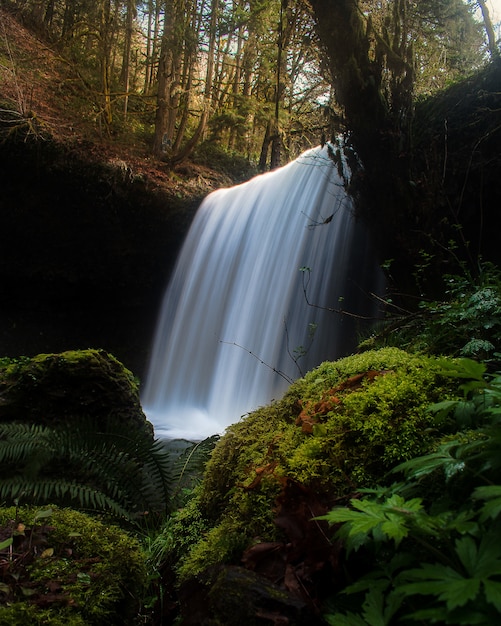 Free photo mesmerizing view of a beautiful waterfall