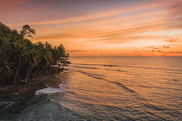 Free photo mesmerizing view of the calm ocean and the trees in the shore during sunset in indonesia