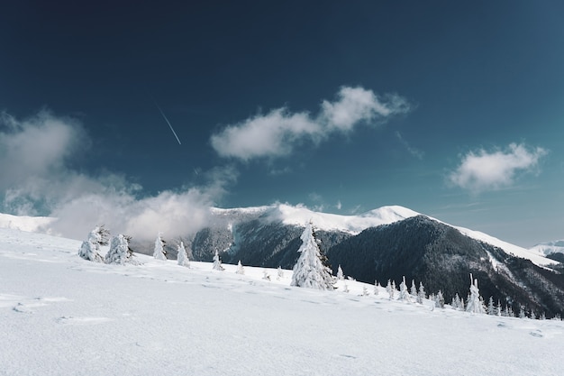 Free Photo mesmerizing view of the carpathian mountains covered in the snow in romania