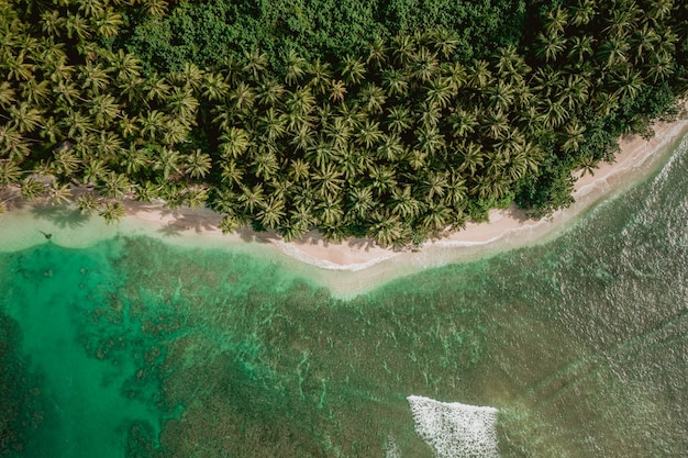 Mesmerizing view of the coastline with white sand and turquoise clear water in Indonesia