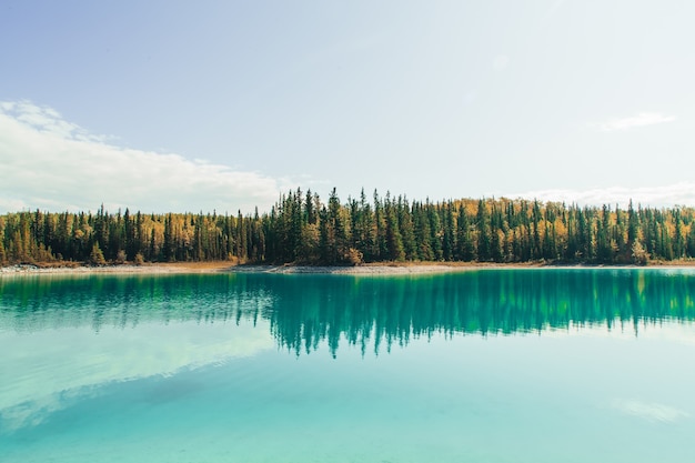 Mesmerizing view of the lake with reflection of the fir trees, the mountains and the cloudy sky