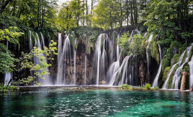 Free Photo mesmerizing view of plitvice lakes national park in croatia