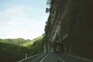 Free photo mesmerizing view of the road through the rock cliff arch surrounded by trees and mountains