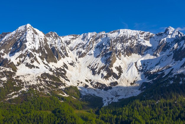 Mesmerizing view of the rocky mountains covered in snow with trees in the foreground