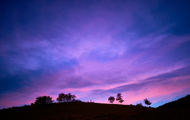 Mesmerizing view of silhouettes of trees under the sunset sky