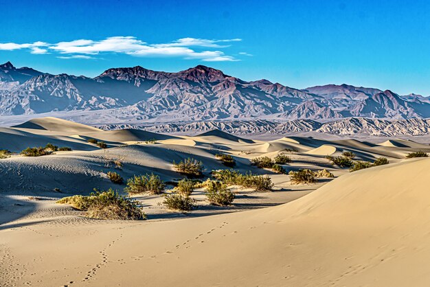 Mesquite Sand Dunes at Death Valley National Park in California, USA